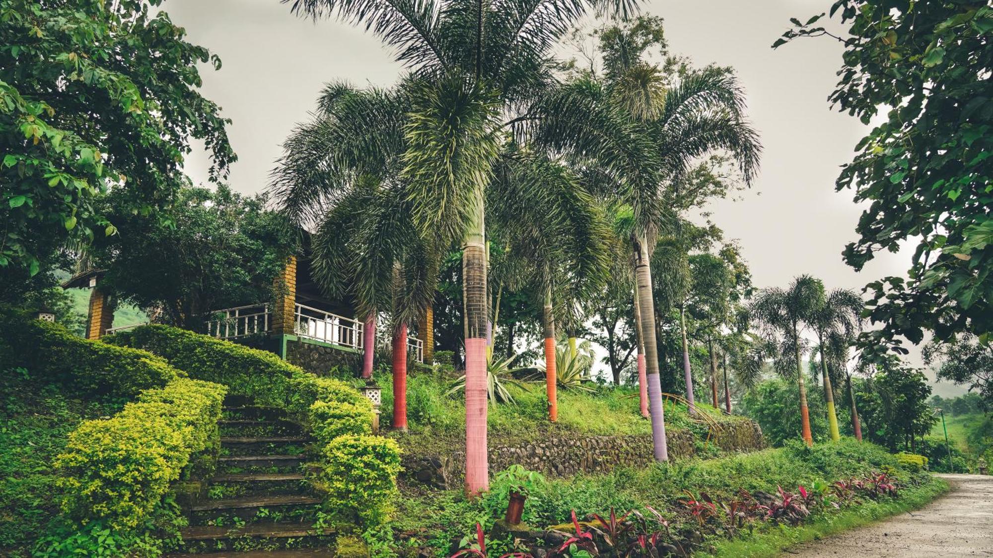 Whispering Peepul Resort 巴德拉普尔 外观 照片